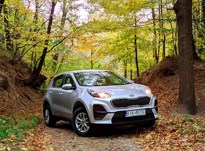 Wypożyczalnia samochodów Stalowa Wola - Rentcars.pl